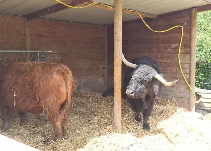 Spacious Quentoinise Town House
